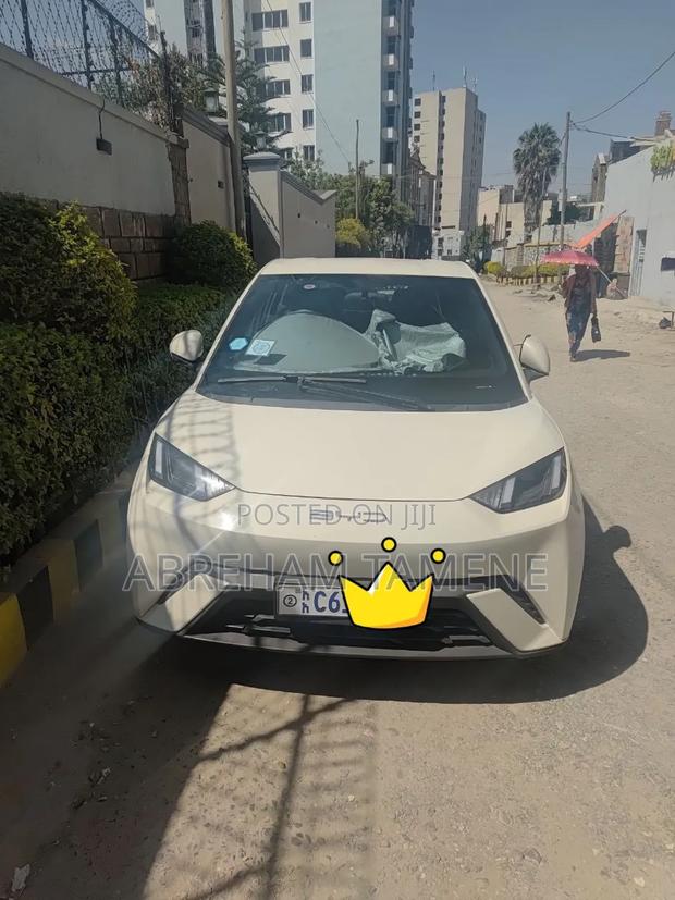 BYD Seagull 38 kWh FWD 2024 Off white
