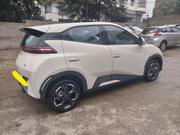 BYD Seagull 2025 White for sale