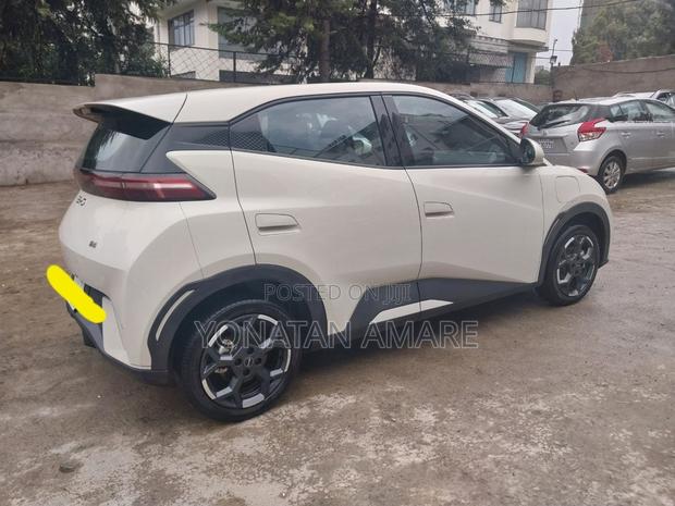BYD Seagull 2025 White