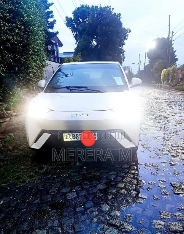 BYD Seagull 2024 White