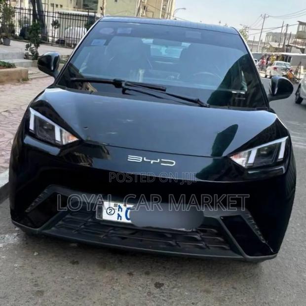 BYD Seagull 2023 Black