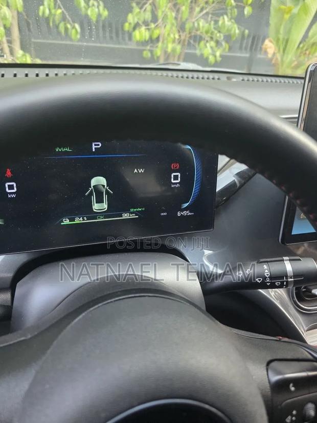 BYD E2 43 kWh 94 hp FWD 2024 Blue