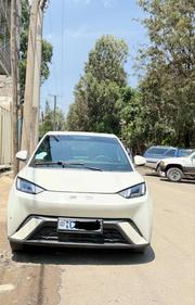 BYD Seagull 2024 White for sale