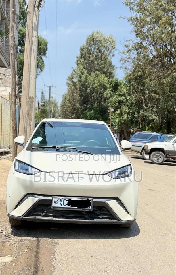 BYD Seagull 2024 White