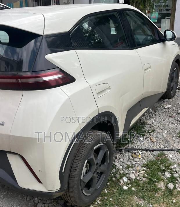 BYD Seagull 2024