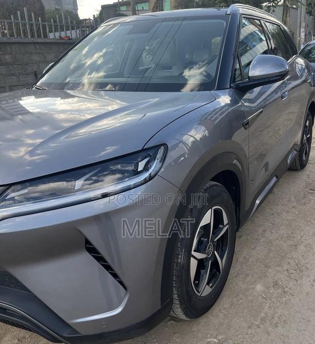 BYD Yuan Up 45 kWh FWD 2024 Gray