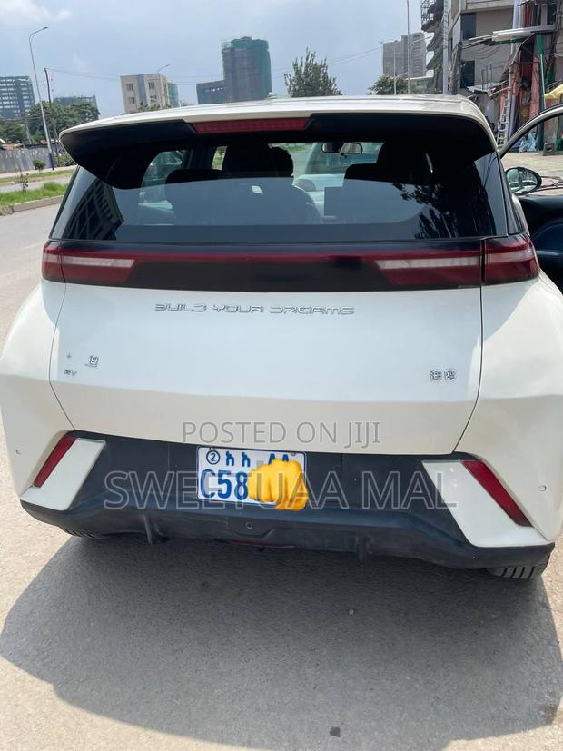 BYD Seagull 38 kWh FWD 2024