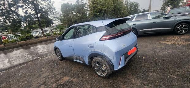 BYD Seagull 2024