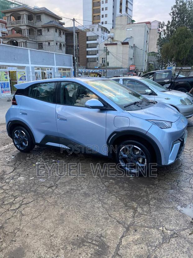 BYD Seagull 2024