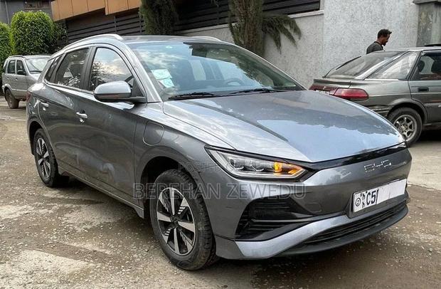 BYD E2 43 kWh 94 hp FWD 2024 Gray