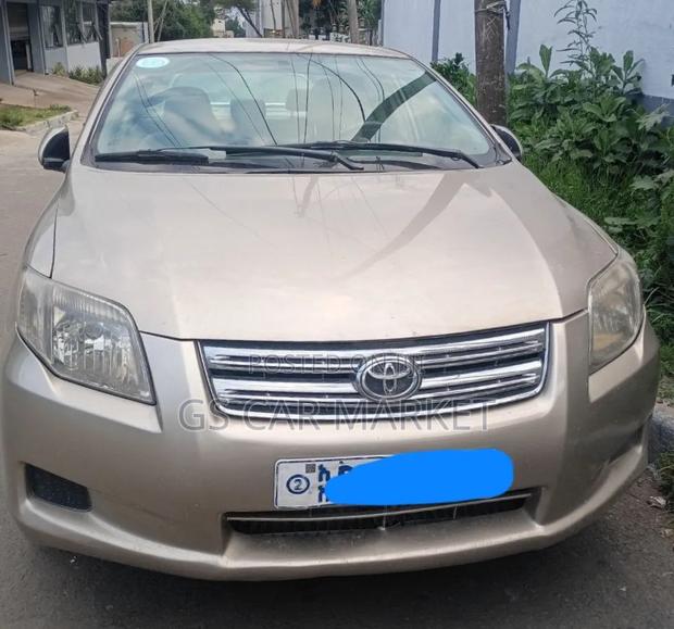 Toyota Axio 2007 Silver