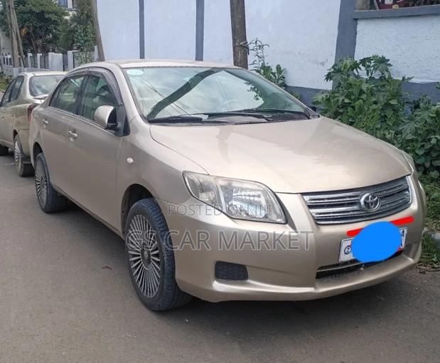 Toyota Axio 2007 Silver