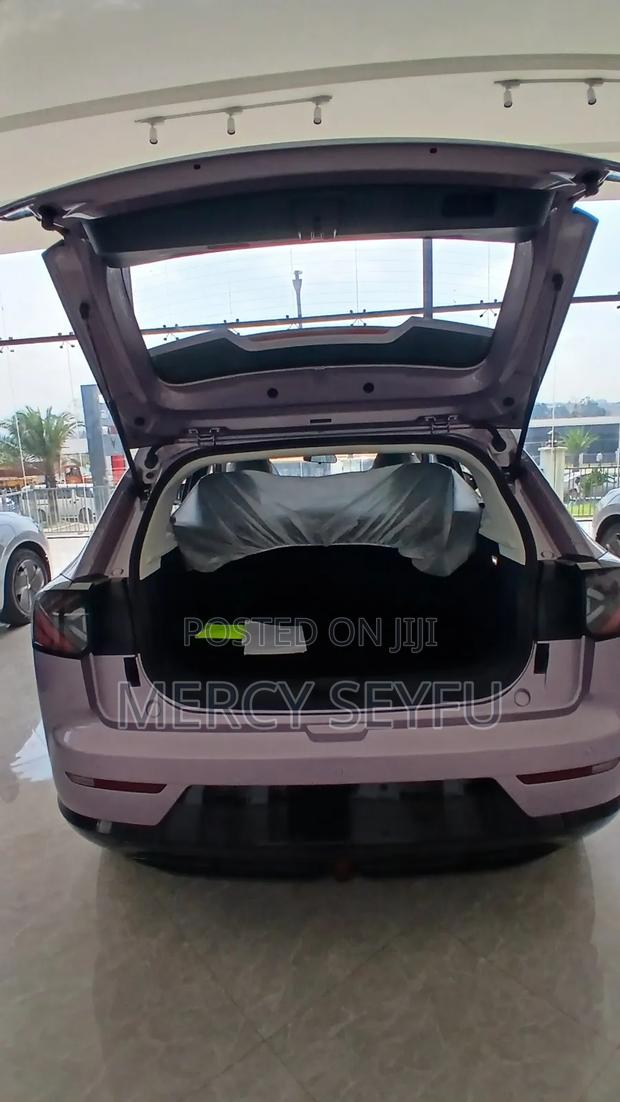 New Arcfox T1 2025 Pink