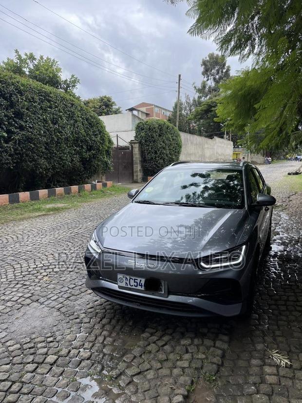 BYD E2 43 kWh 94 hp FWD 2024 Gray