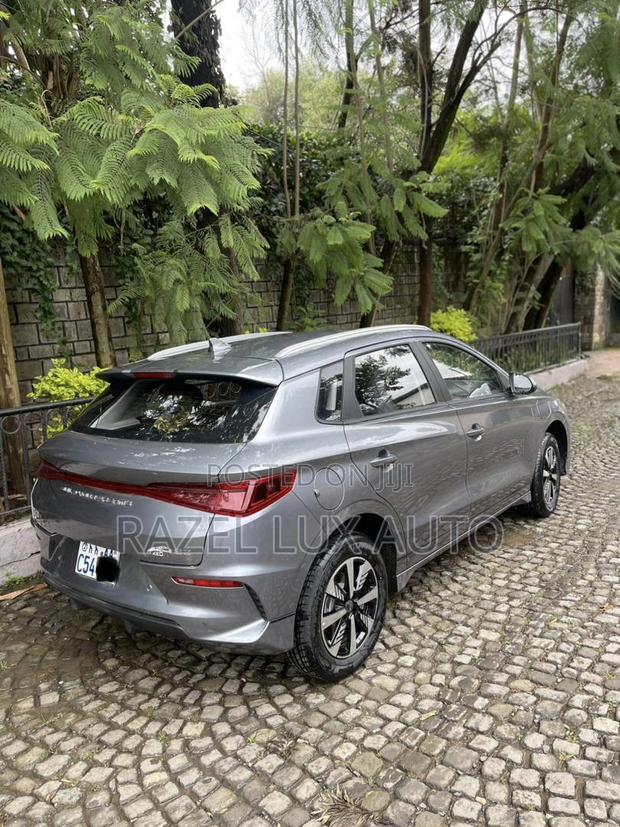 BYD E2 43 kWh 94 hp FWD 2024 Gray