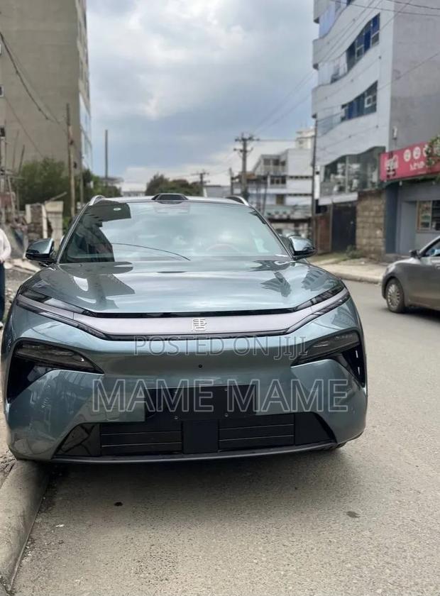 New BYD Tang EV 2025 Gray