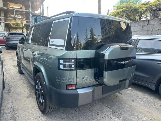 New BYD Leopard 7 2025 Gray