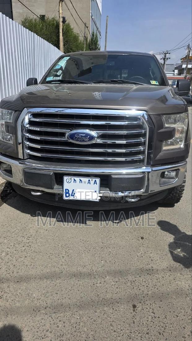 Ford F-150 2015 Gray