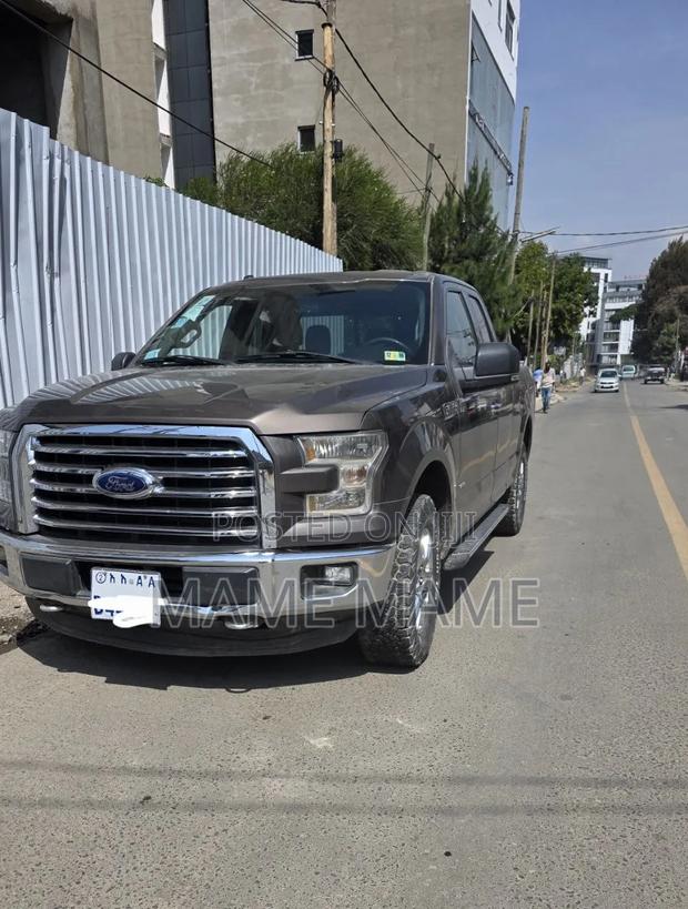 Ford F-150 2015 Gray