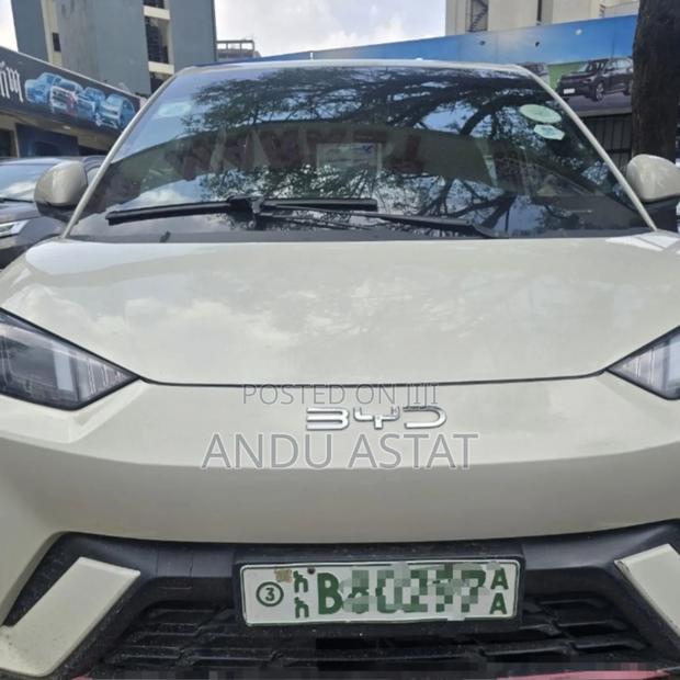 BYD Seagull 2024 Gray