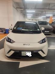 BYD Seagull 2025 White for sale