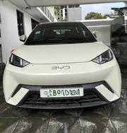 BYD Seagull 2024 White for sale