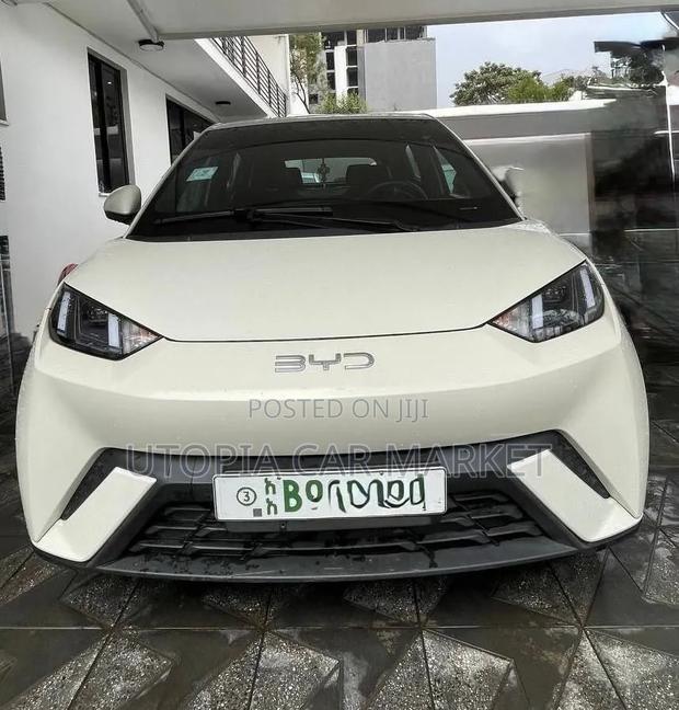 BYD Seagull 2024 White