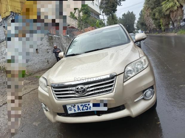 Toyota RAV4 2010 Gold