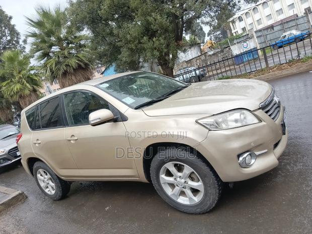 Toyota RAV4 2010 Gold