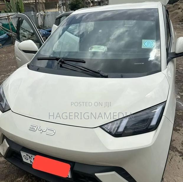 BYD Seagull 2024 White