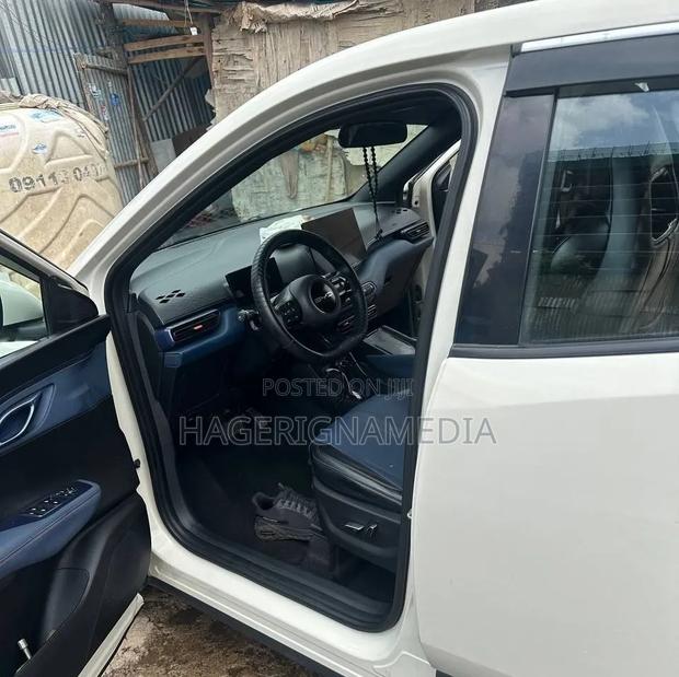 BYD Seagull 2024 White