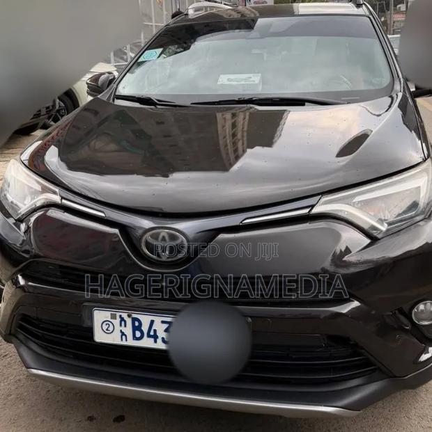 Toyota RAV4 2018 Brown