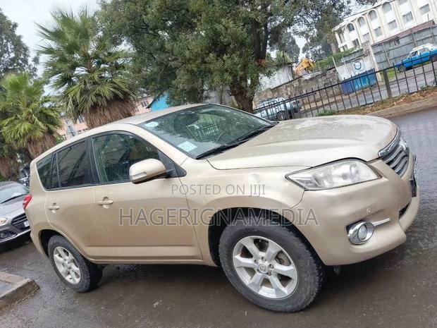 Toyota RAV4 2010 Gold