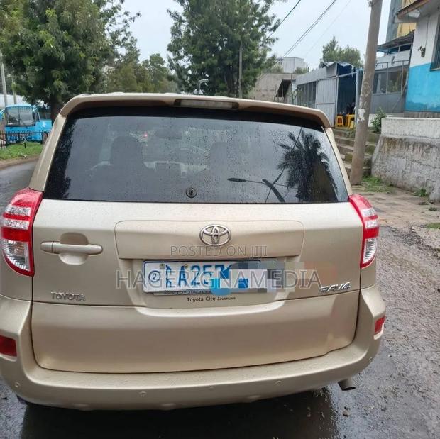 Toyota RAV4 2010 Gold