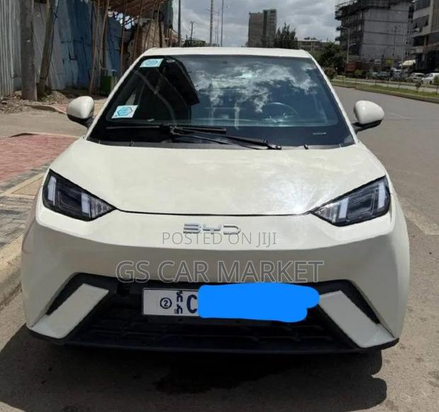 BYD Seagull 38 kWh FWD 2024 White