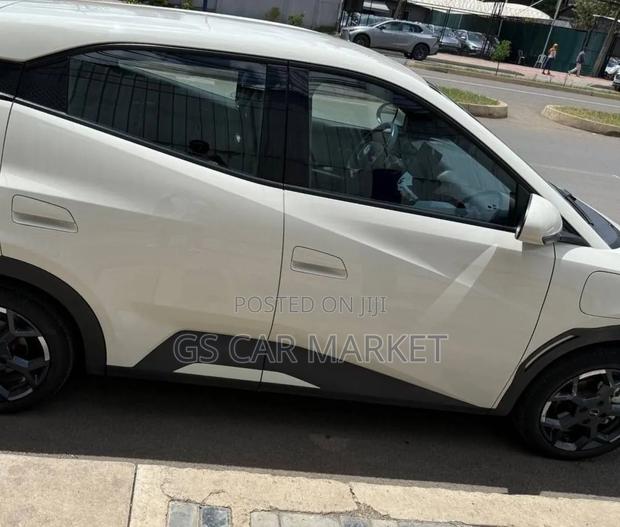 BYD Seagull 38 kWh FWD 2024 White