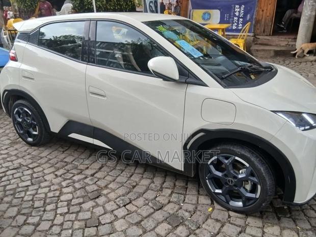 BYD Seagull 38 kWh FWD 2024 White