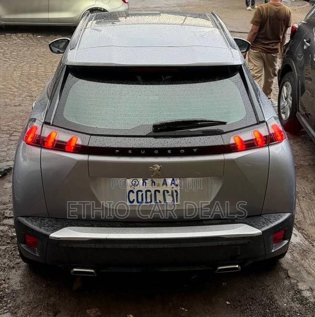 Peugeot 2008 2022 Gray