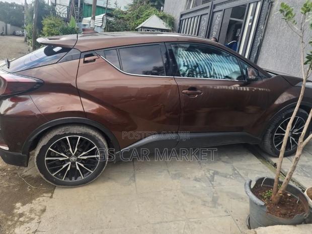 Toyota C-HR 2017 Brown