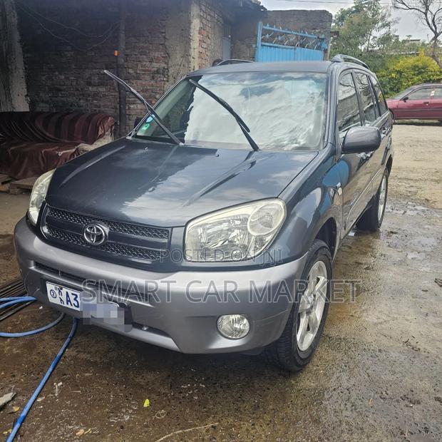 Toyota RAV4 2005 Gray