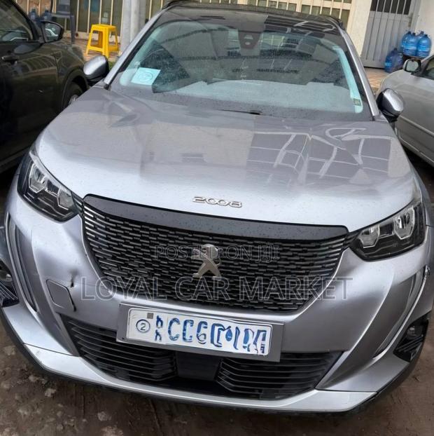 Peugeot 2008 2022 Silver