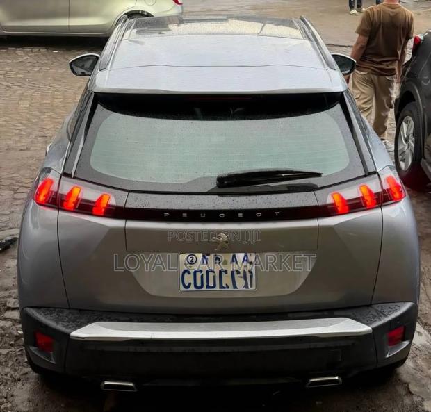 Peugeot 2008 2022 Silver