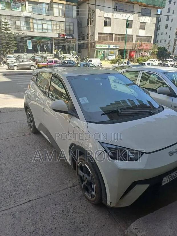 BYD Seagull 2024 White