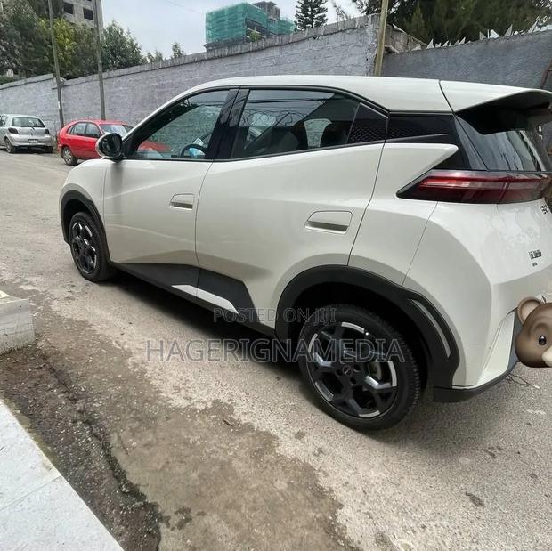 BYD Seagull 2024 White