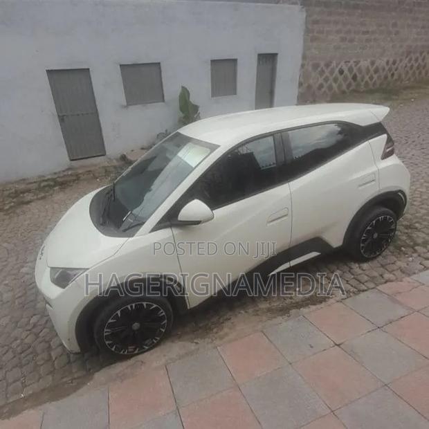 BYD Seagull 2024 White