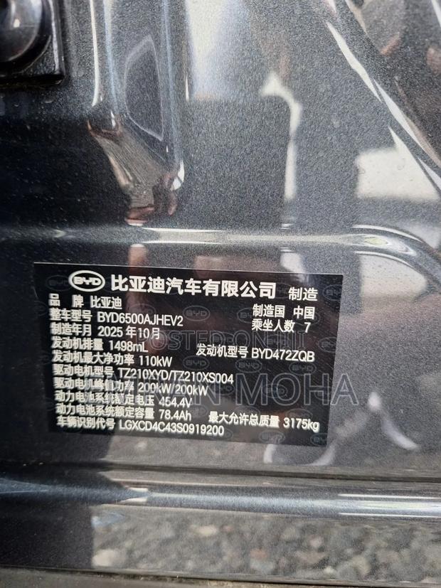 New BYD Tang EV 2025 Beige