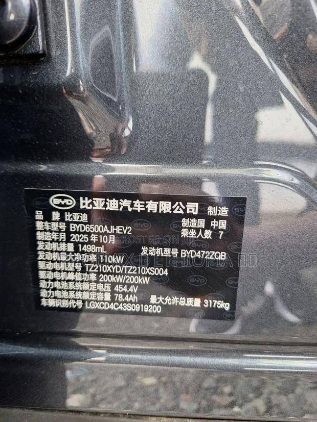 New BYD Tang EV 2025 Beige
