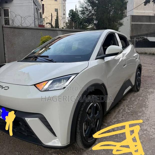 BYD Seagull 2025 White