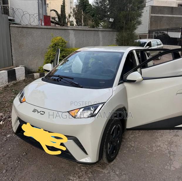 BYD Seagull 2025 White