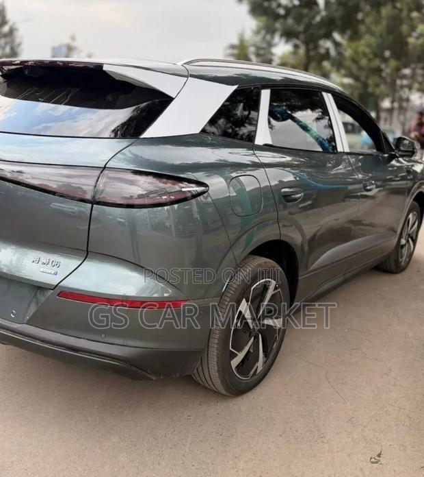 New BYD Sealion 06 EV 2025 Gray
